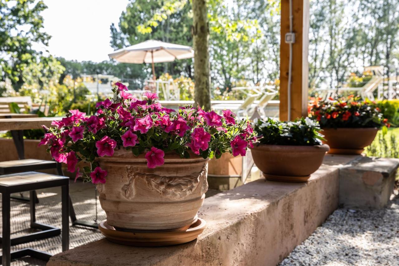 Vecchio Granaio Bed & Breakfast Pisa Ngoại thất bức ảnh